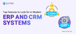 ERP and CRM Systems